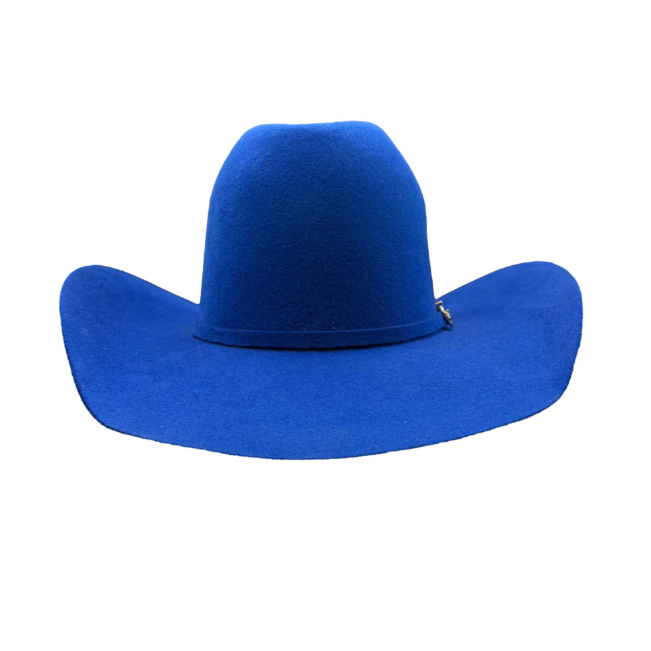 Texana Vaquera Rey Minnick - Imagen 2