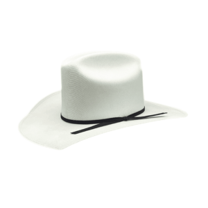 Sombrero Vaquero WP Crazy