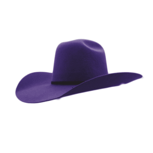 Texana Vaquera Morada Minnick