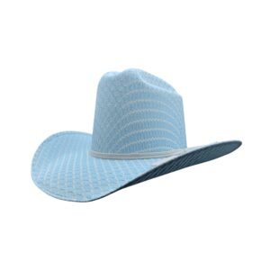 Sombrero Vaquero Panal Azul Viejon